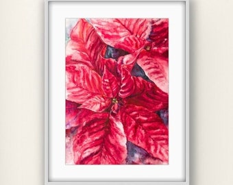 ポインセチアの絵画 クリスマスの花 水彩画 花のアートプリント 赤い