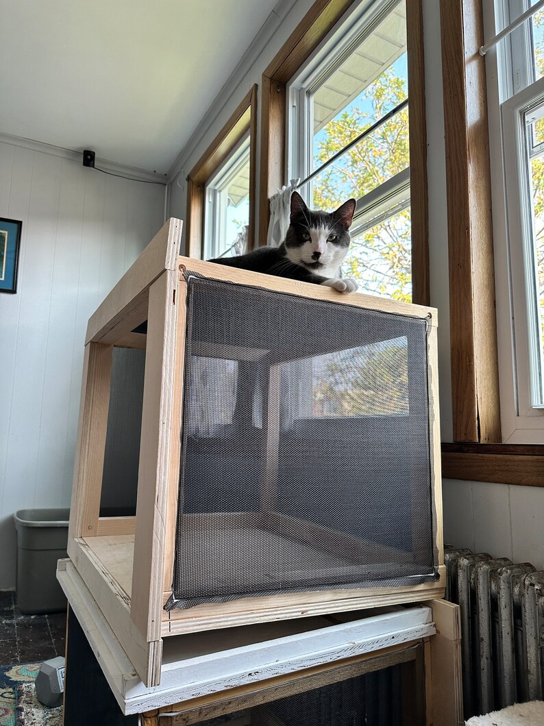 Catio Fully Built Custom Window Viewing Box Patio for Cats Etsy