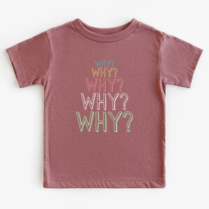 Op de afbeelding: Een mauve t-shirt met korte mouwen met het woord "WHY?" vijf keer herhaald in een regenboog van kleuren.