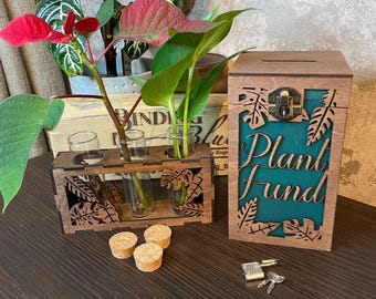 Plant bundle - Plant fund money box and propagation station