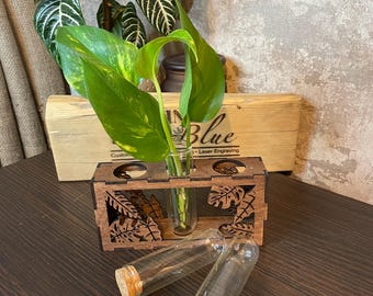 Plant propagation station / stand , rooting baby plants