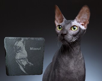 Puede incluir: Un posavasos de pizarra negra con una imagen grabada con láser de un gato y la palabra "Miaou!"