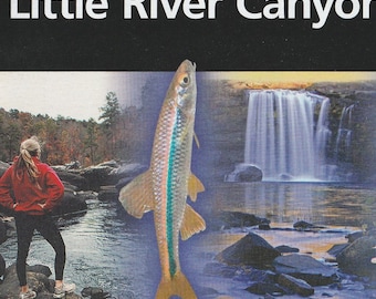 Little River Canyon National Preserve Official NPS Guide Map Brochure National Parks America The Beautiful