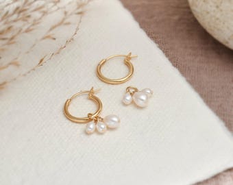 Puede incluir: Un par de pendientes de aro de oro con un racimo de tres pequeñas perlas blancas que cuelgan de cada aro.