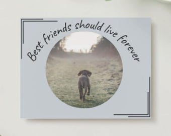 Carte de sympathie pour chien - cadeau pour amoureux des chiens, perte de chien, carte pour chien, carte de sympathie pour chien, carte de voeux, carte de condoléances pour propriétaires de chien, cadeau pour chien