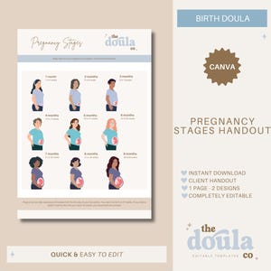 STAGES OF PREGNANCY Doula Handout, Birth Doula Forms, Editable Doula Handout, Doula Client Handouts, Childbirth Education Handout