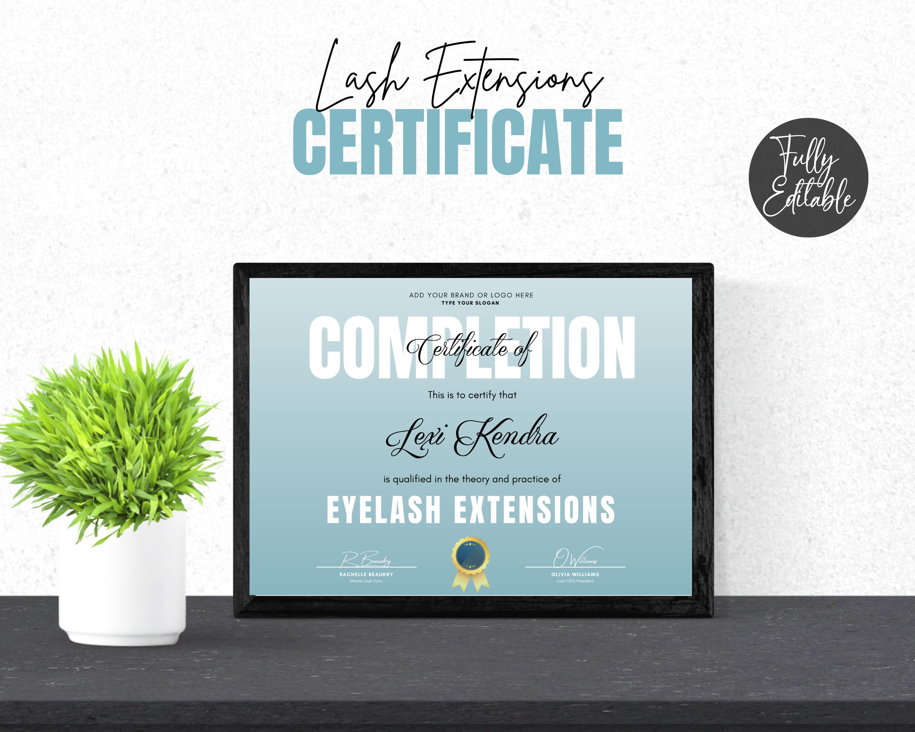 Lash Extensions Certificate Eyelash Extensions DIY Etsy