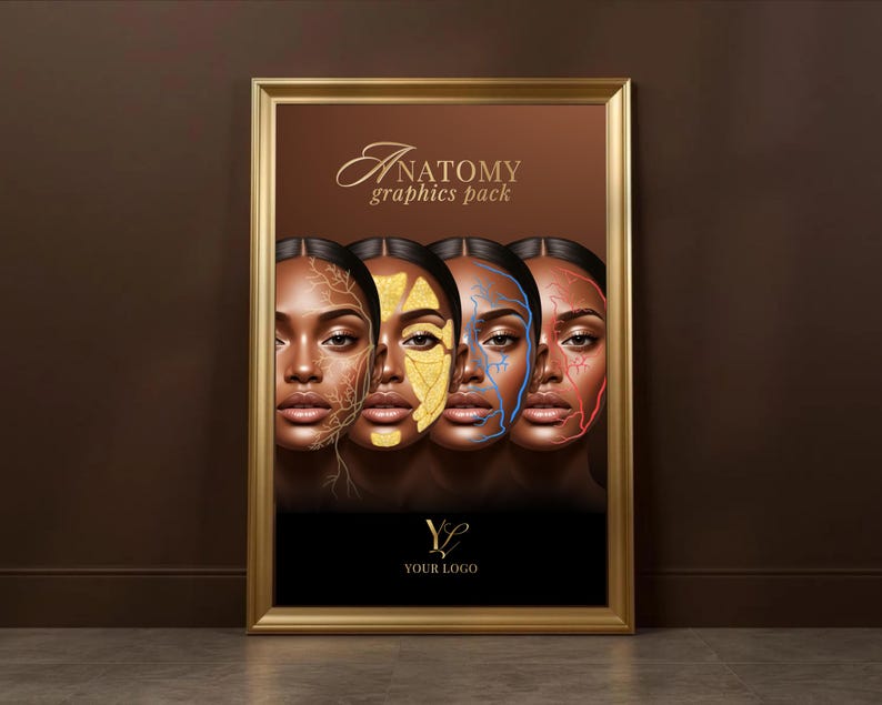 Facial Anatomy Print Set, Veins, Muscles, Nerves, Skull, Aesthetics ...