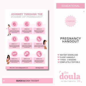 Editable Pregnancy Journey Guide: Doula Client Handout (PDF Download)