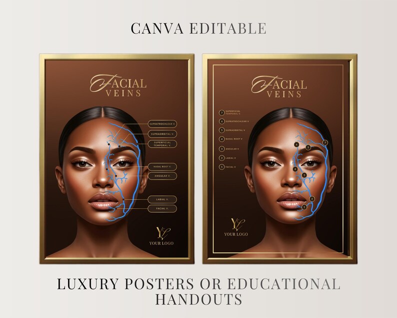 Facial Anatomy Print Set, Veins, Muscles, Nerves, Skull, Aesthetics ...