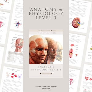 Anatomie & Physiologie Trainings-Handbuch Level 3 für Beauty-Trainer, Studenten und Akademien