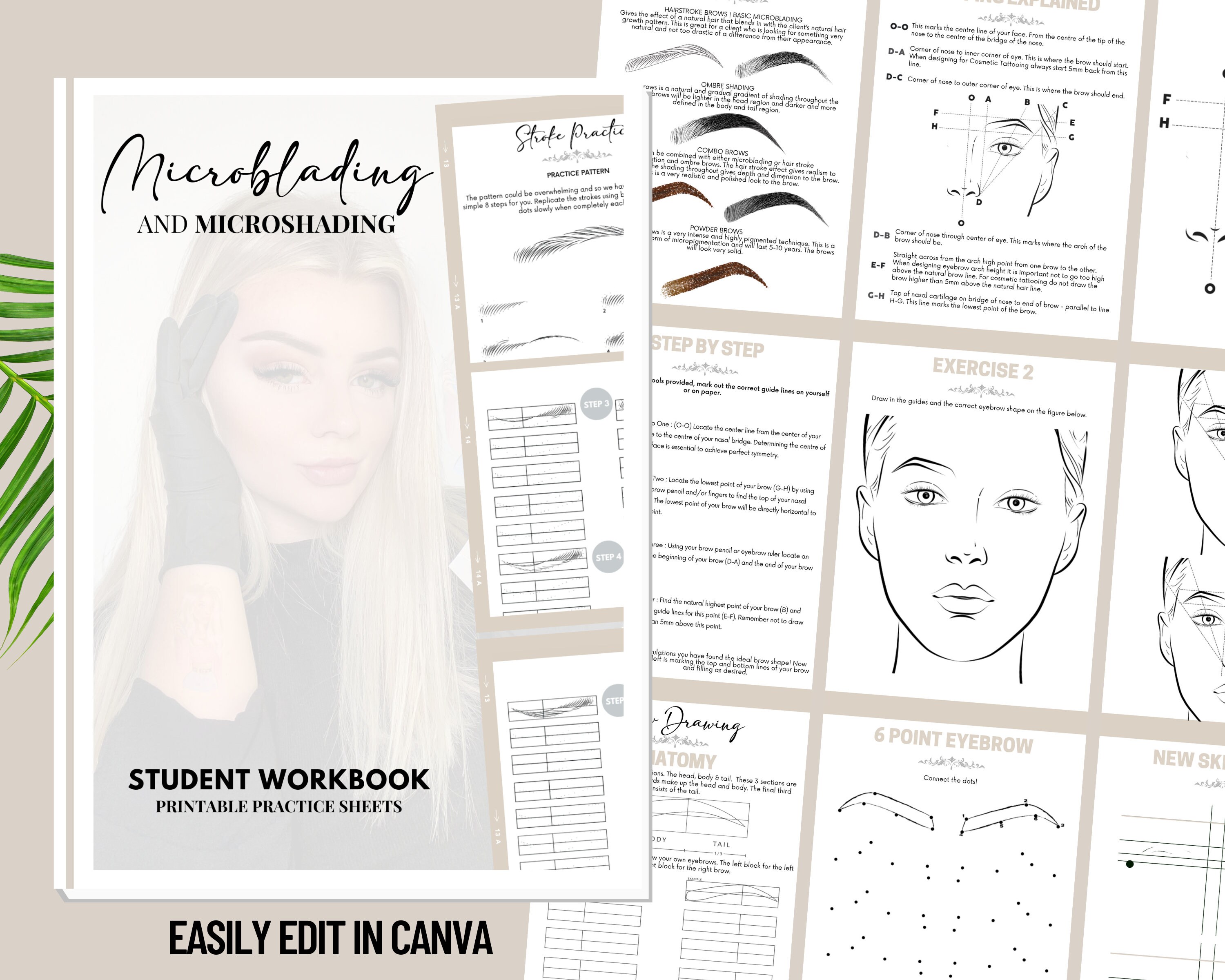 Editable Microblading Student Practice Booklet Template Hair - Etsy