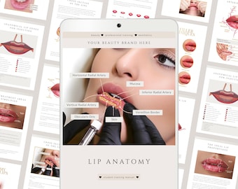 Lip Anatomy for Lip Fillers Aesthetics Training Manual | Editable Canva Study Guide (Digital Download)
