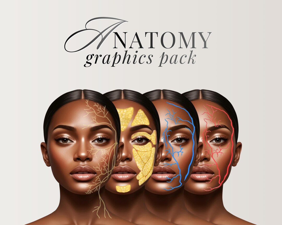 Facial Anatomy Print Set, Veins, Muscles, Nerves, Skull, Aesthetics ...