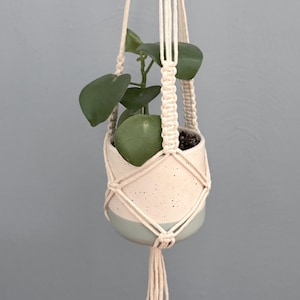 May include: A macrame plant hanger with a light green plant in a white and light blue ceramic pot. The hanger is made of natural cotton cord and has wooden beads at the top.