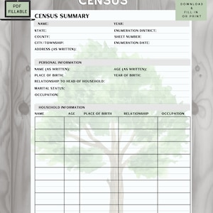 Census Summary Sheet - Fillable! or Download, Print + Fill in ...