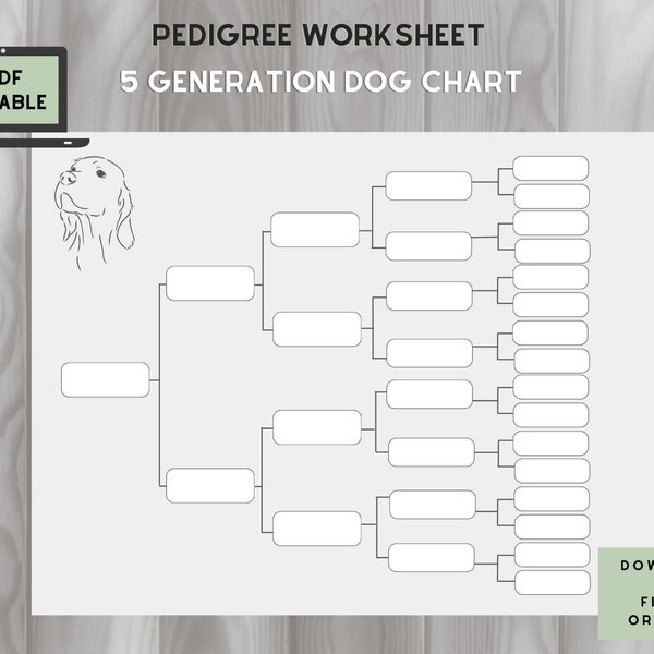 Dog Pedigree Chart - 5 Generations on one page! - Fillable PDF