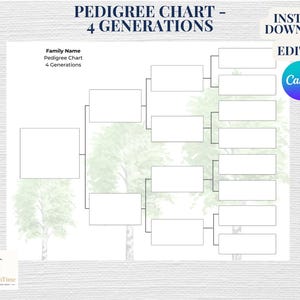 Puede incluir: Una plantilla imprimible de árbol genealógico con un diseño de árbol familiar. El gráfico está etiquetado como "Pedigree Chart - 4 Generations" e incluye espacio para agregar nombres familiares. El diseño incluye el texto "Instant Download + Edit in Canva".