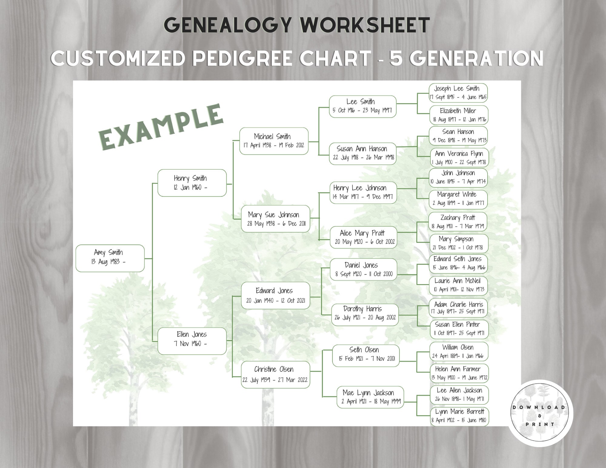 Editable Family Tree Chart Genealogy Chart Sheet Form Ancestor Chart 5  Generation Family Tree Template Genealogy Chart Genealogy Template 