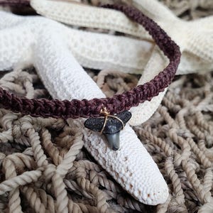 shark tooth bracelet