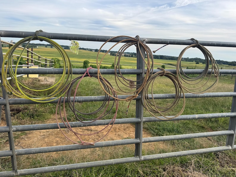 May include: Several coiled ropes of varying colors, including yellow, brown, and red, hang from a gray metal fence. The ropes are knotted to the fence, with a green field and cloudy sky in the background.