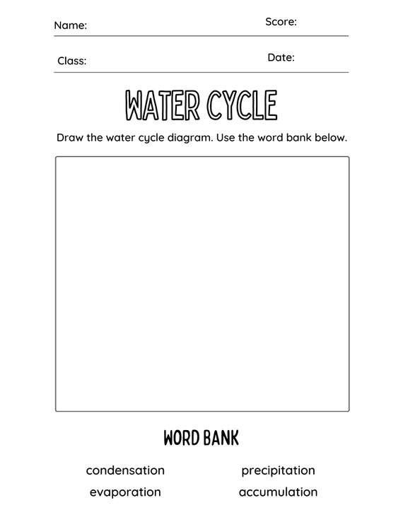 Science: Water Cycle Worksheet Science Activity Digital - Etsy