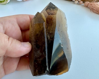 Special Raw Twin Smoky Lemurian Points | Rare Lemurian | Lemurian Point | Authentic Lemurian