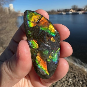 Etsy ammolite discount