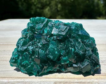 Dioptase Specimen Crystal Cluster - #5