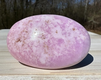 Bonita piedra de palma de aragonito rosa con hematita
