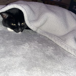 May include: A black and white cat with yellow eyes is curled up under a gray fleece blanket on a bed.