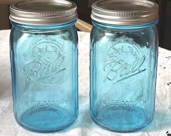 Paire de bocaux en verre bleu avec couvercles argentés, série couleur Elite Fruit Design à col large, 24 OZ