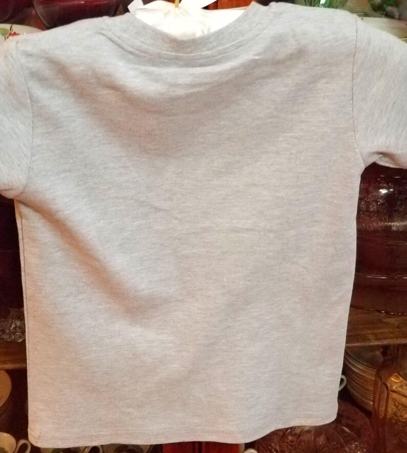 May include: A plain gray t-shirt with short sleeves and a crew neck.