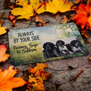 May include: A rectangular item with a pet theme, displaying three dogs and the words "ALWAYS BY YOUR SIDE Nutmeg, Sage & Saffron." The design includes paw prints and is set against a backdrop of autumnal leaves.