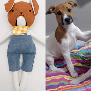 Passen Sie Ihr Haustier in eine Puppe, handgemachtes Leinenplüschtier, personalisiertes gefülltes Tierspielzeug, benutzerdefinierte Hunde- und Katzenplüsch ein