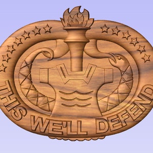 Army Drill Sergeant Badge