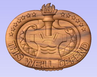 Army Drill Sergeant Badge