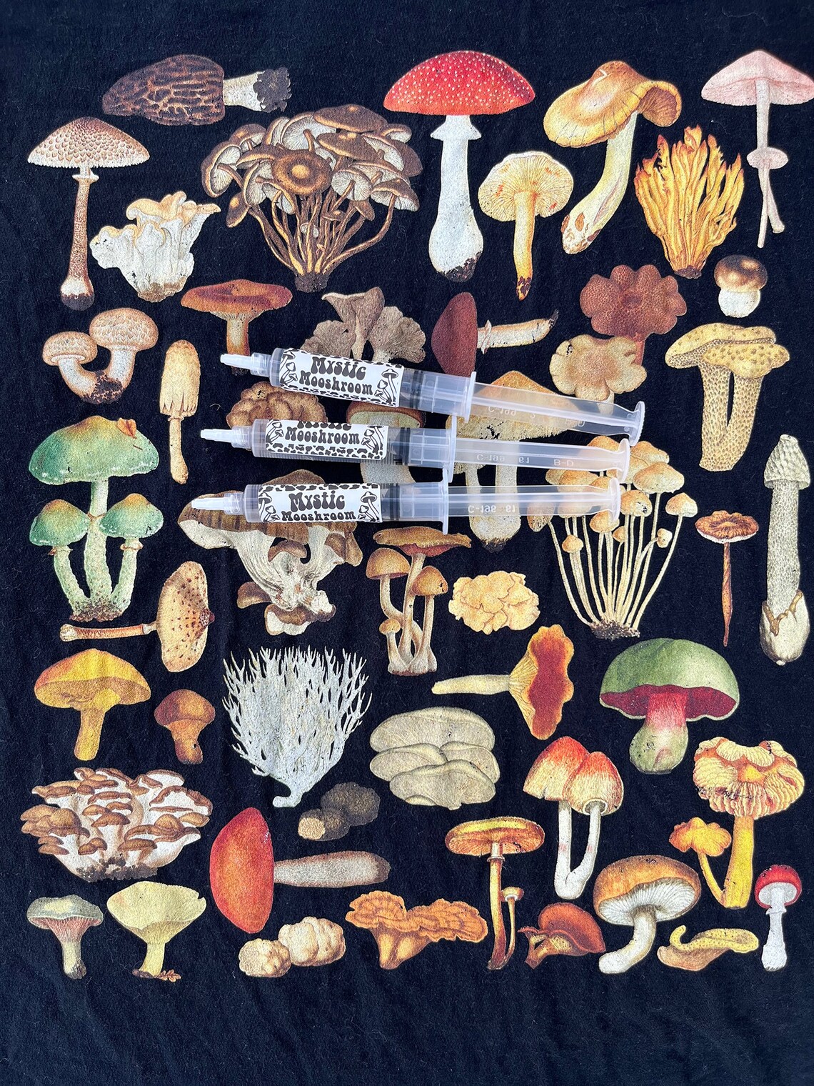 Bioluminescent Bitter Oyster Mushroom Liquid Culture Etsy