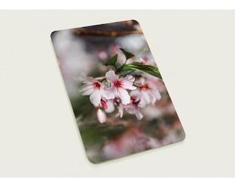 Flores de primavera - Paquete de 10 postales (EE. UU. y Canadá)