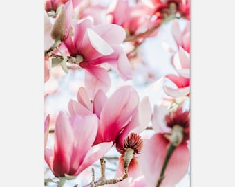Póster de bellas artes Magnolia Delight tamaño A3 (29,7 x 42 cm)