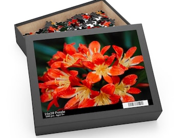 Rompecabezas Clivia miniata Naranja (500 piezas)