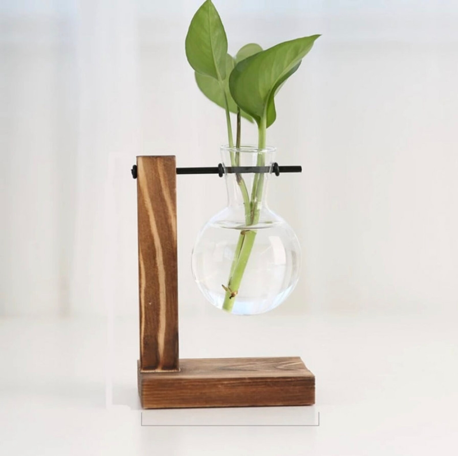 Glass Propagation Vase Bulbs With Wood Stand, Nordic Style Hydroponic