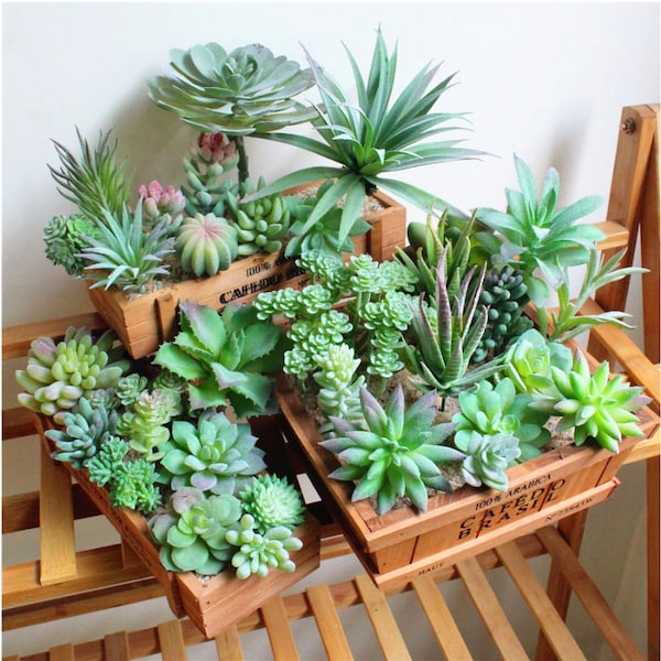 50 pack Make Your Own Succulent Garden, Faux Succulent Variety,