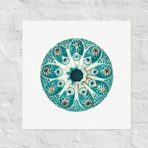 May include: A teal blue and white mandala with a floral design. The mandala is symmetrical and has a starburst pattern in the center.