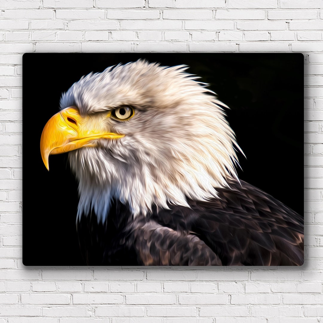 Bald Eagle Artwork | Oil Painting – Canvas, Framed Print - Etsy