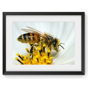 Bee pollinating Flower  Artwork | Oil Painting – Canvas, Framed Print