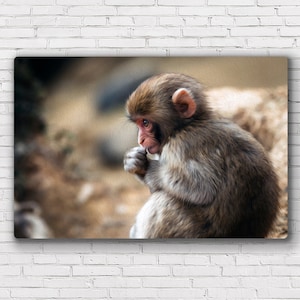 Monkey Artwork | Oil Painting – Canvas, Framed Print