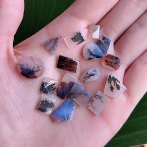 May include: A collection of small, polished dendritic agate gemstones in various shapes including rectangles, triangles, and ovals. Each translucent stone features unique, dark, fern-like inclusions that resemble branching tree patterns.