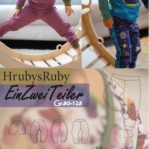 E-book Weggefährte Knickerbocker