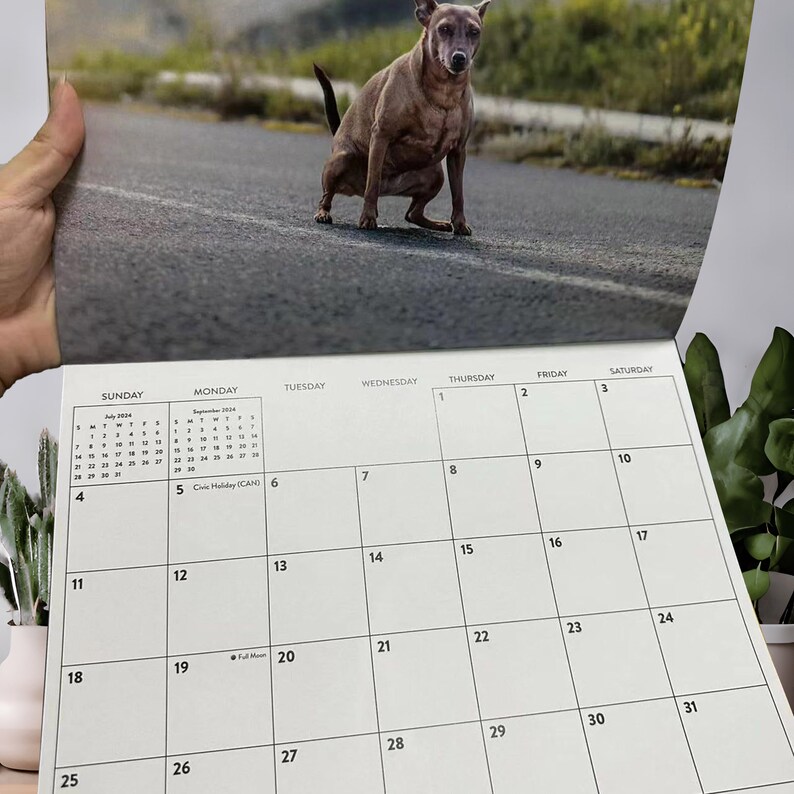 2024 Dog Poop Calendar Funny Gifts Huggies Calendar Holiday - Etsy 2024 Dog Poop Calendar Funny Gifts Huggies Calendar Holiday - Etsy